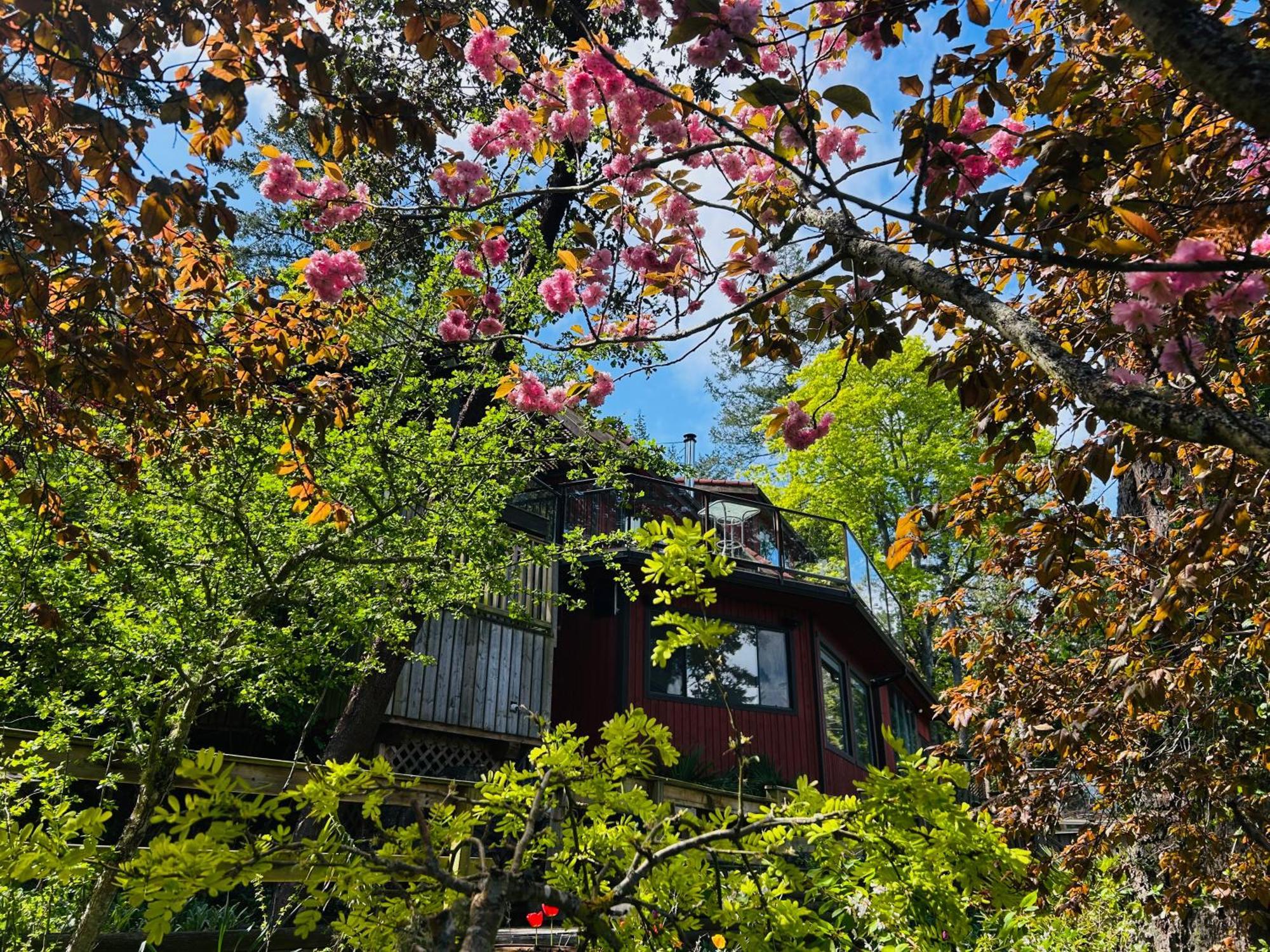 Shangrila Waterfront Vacation Home Bedwell Harbour Exterior photo